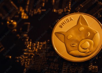 Shiba Inu