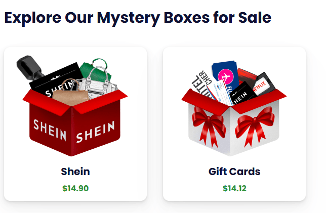 Shein mystery box.