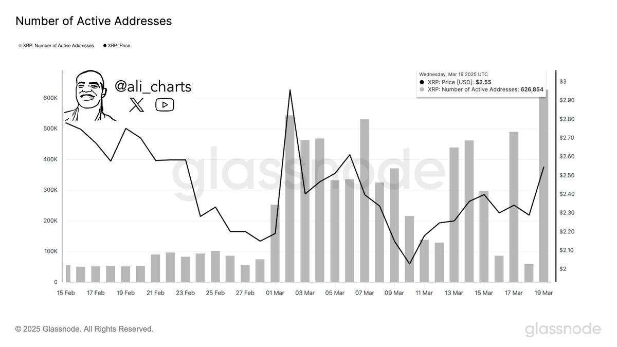 XRP Network Activity