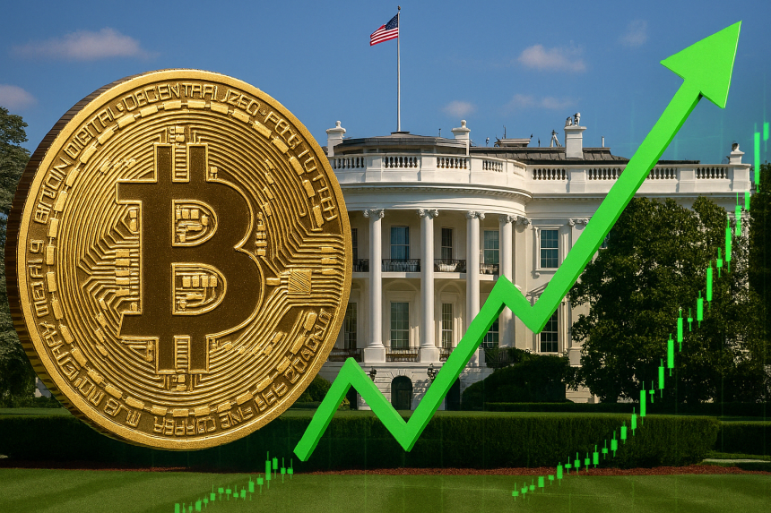 Trump plant Bitcoin aankoop met tarieven winst – gaat BTC stijgen naar $90k vandaag?