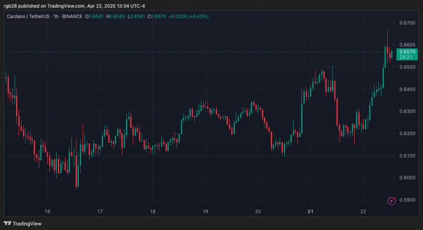 cardano, ADA, ADAUSDT