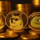 Biến Động Lớn Trong Các Meme Coin