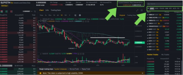 Binance margin interest rates
