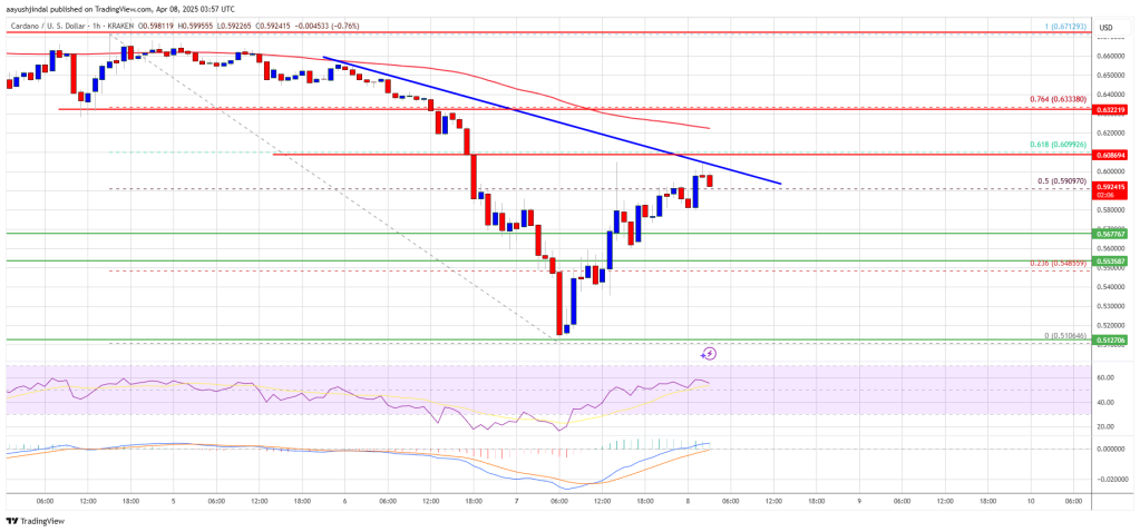 Cardano Price