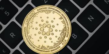 Cardano