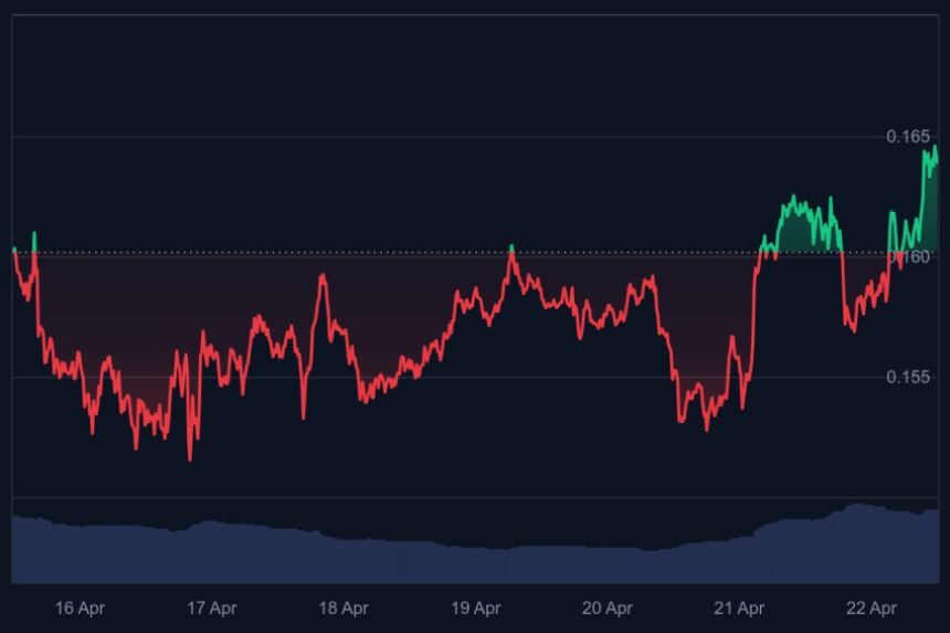 Dogecoin koers, wat gaat dogecoin doen