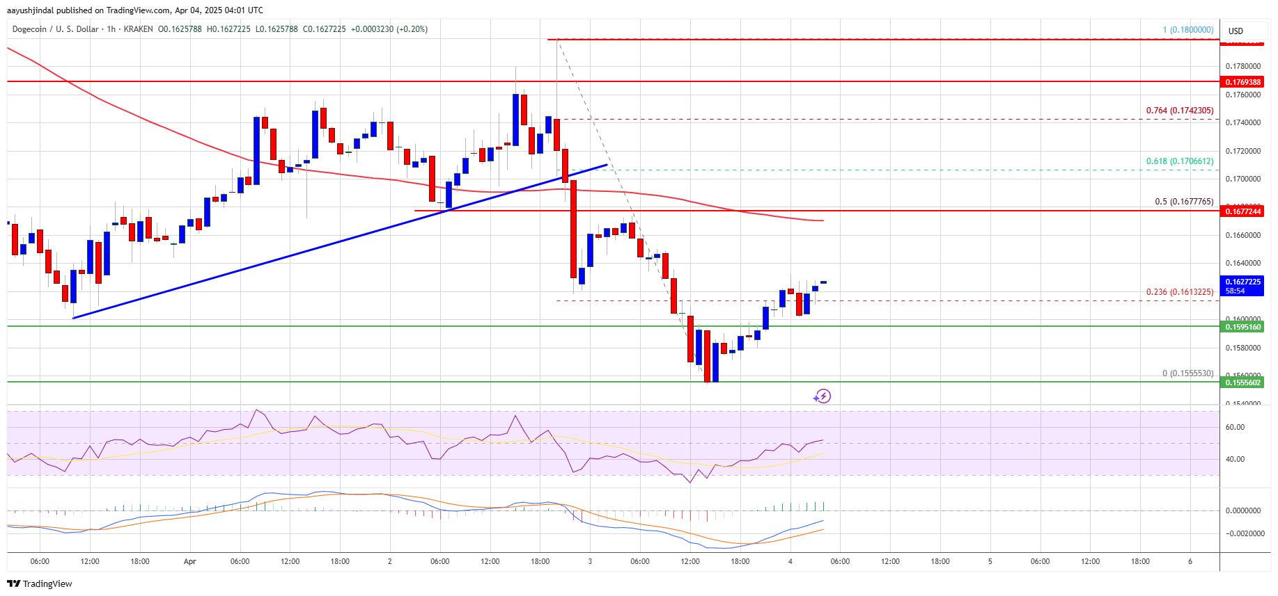 Dogecoin's Tumultuous Chart