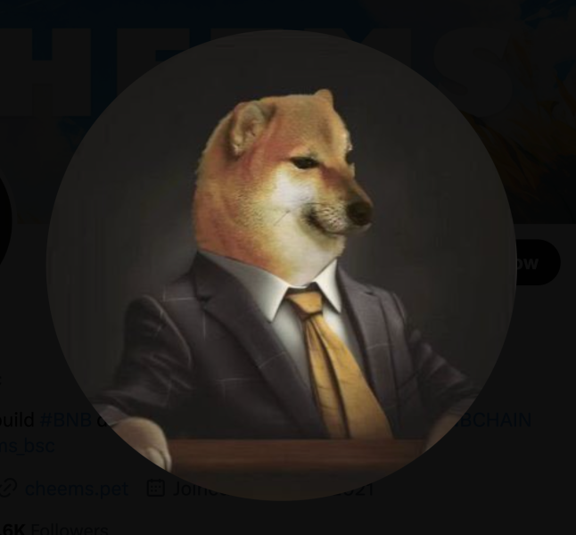 Lord Cheems, the mascot of the $CHEEMS meme coin