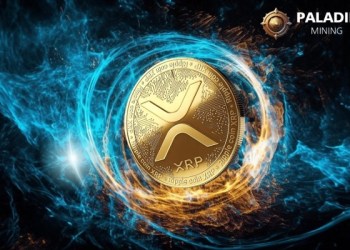 Investors ditch crypto giants for PaladinMining cloud mining service to earn $21800 a day