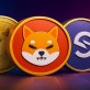 Potential Coin Meme