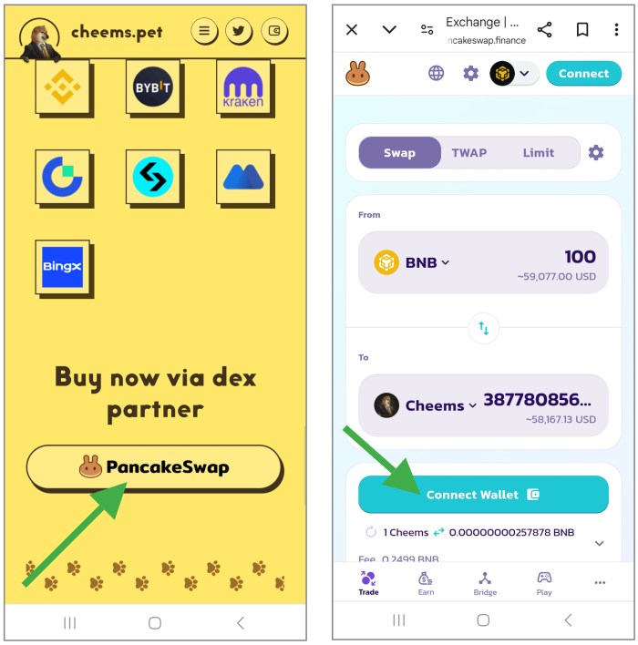 Buy $CHEEMS via PancakeSwap