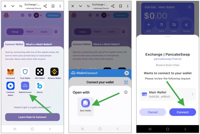 Select and connect to your wallet via WalletConnect