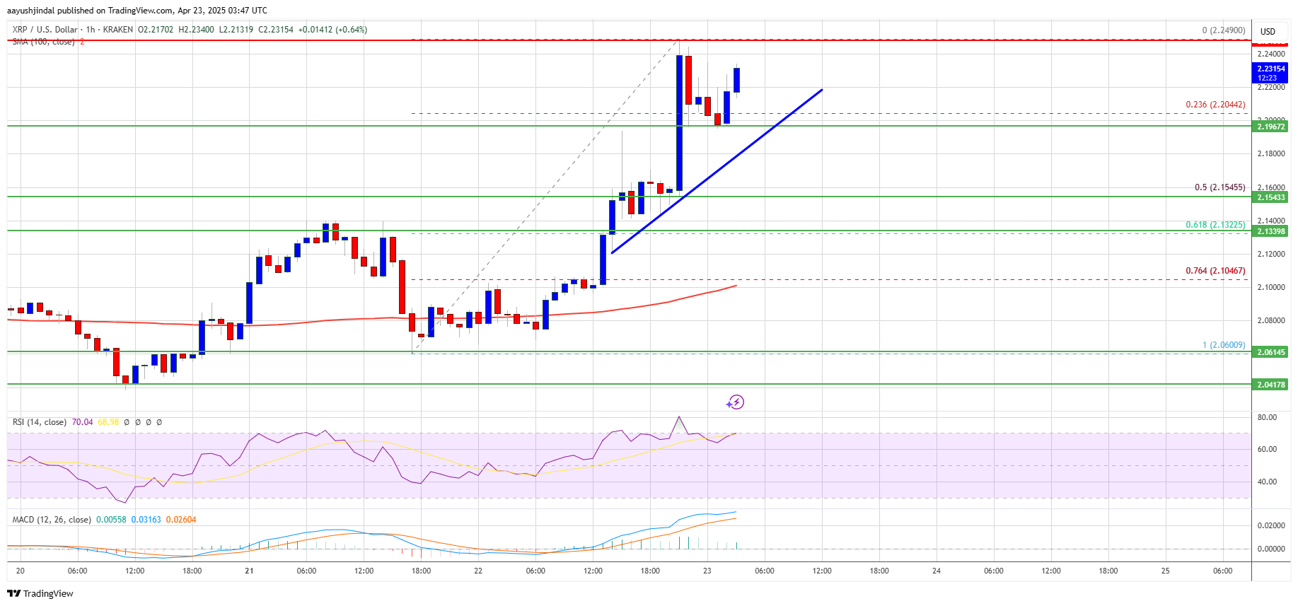 XRP Price Chart – a rollercoaster in pixel form