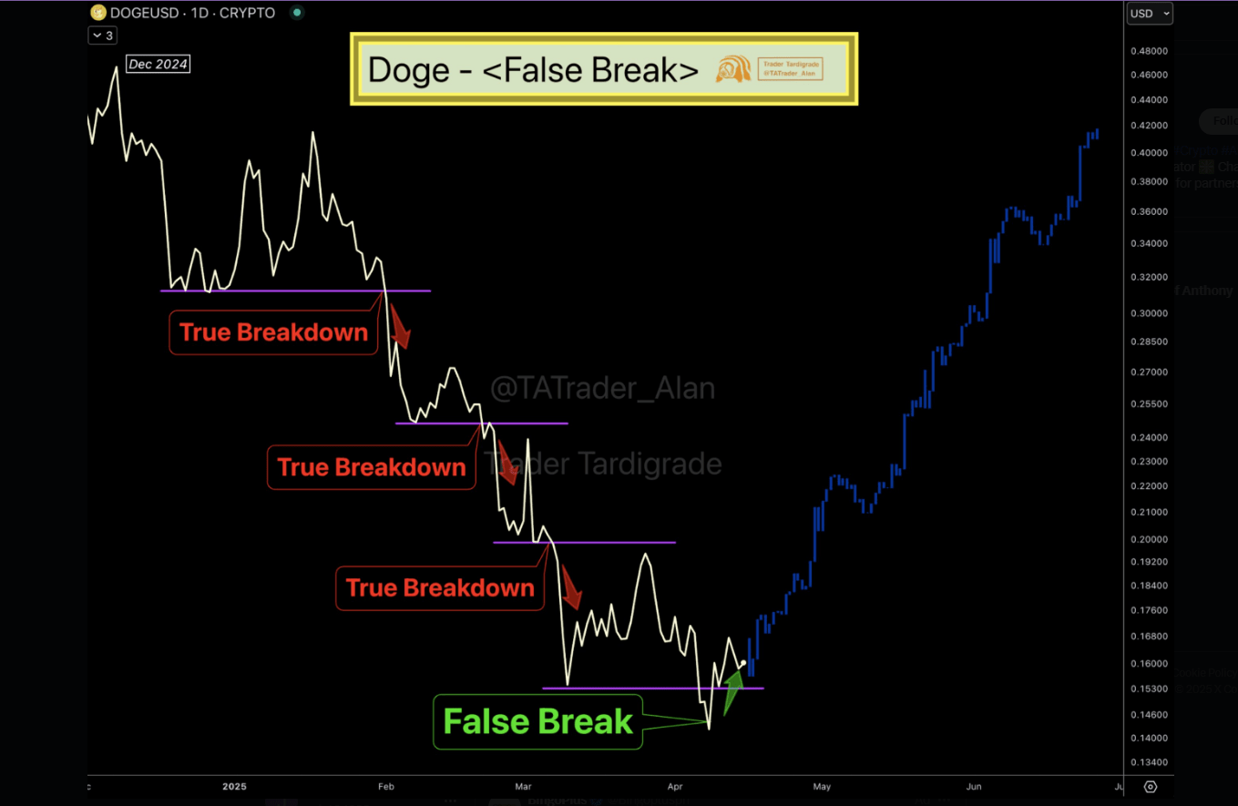 Dogecoin Holder Chart