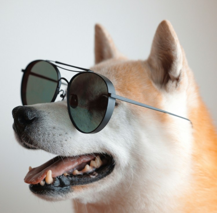 Dogecoin