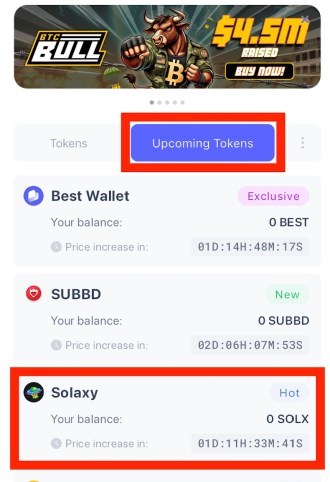 ベストウォレットホームページ2