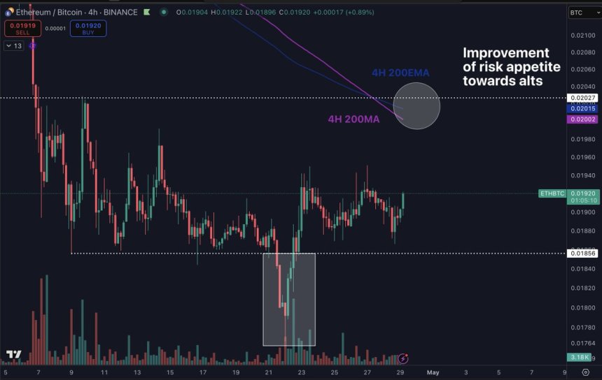 Ethereum vs Bitcoin Gráfico de 4 horas | Fuente: Daan on x