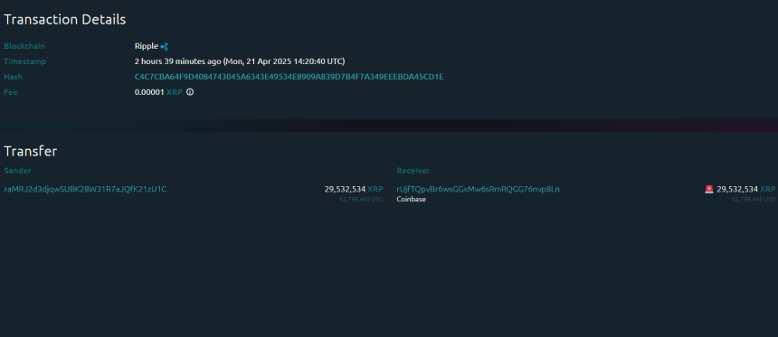 XRP Whale