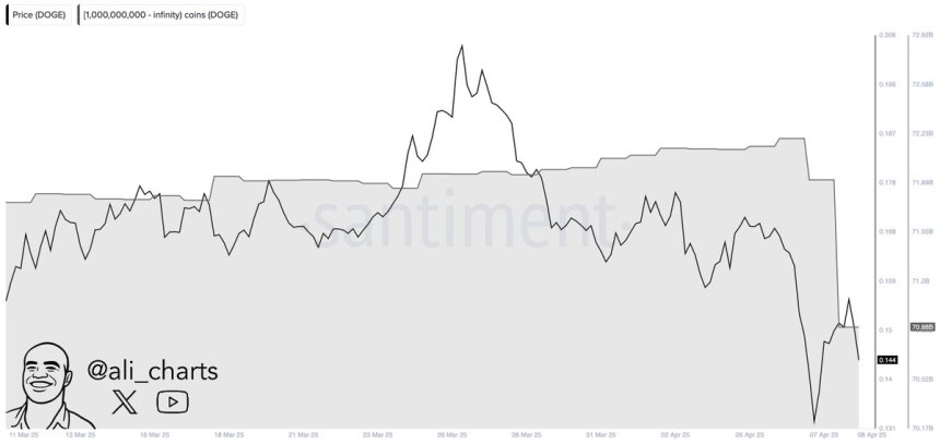 Dogecoin whales offload 1.32B DOGE in 48H | Source: Ali Martinez on X