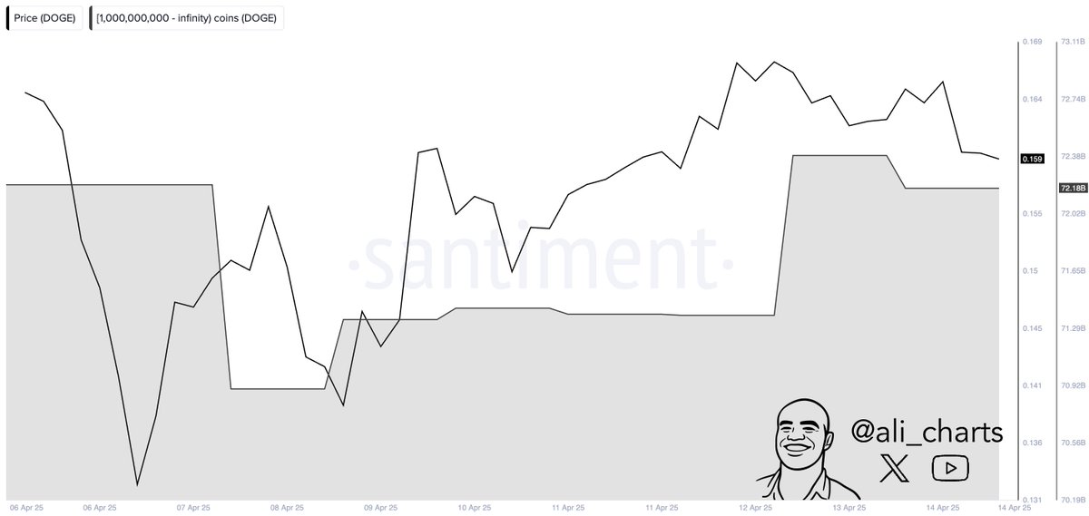 A dramatic Dogecoin chart - possibly directed by Mel Brooks