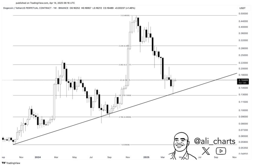Dogecoin testing critical levels | Source: Ali Martinez on X