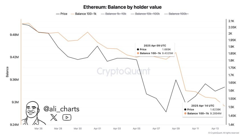 Saldo de Ethereum por valor del titular | Fuente: Ali Martinez en X