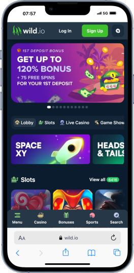 wild.io casino singapore