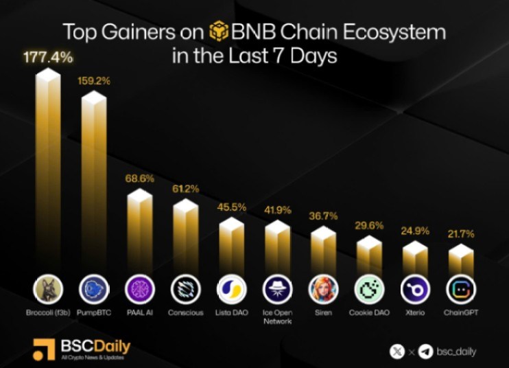 Brocccoli tops BNB charts