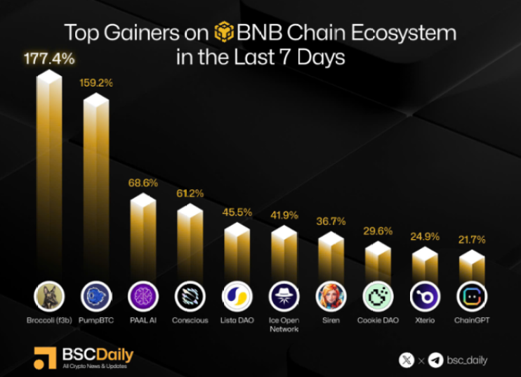 Broccoli top of the BNB chart