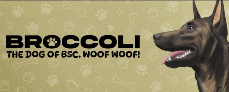 $BROCCOLI Price Prediction 2025 – Can This Meme Coin Grow?