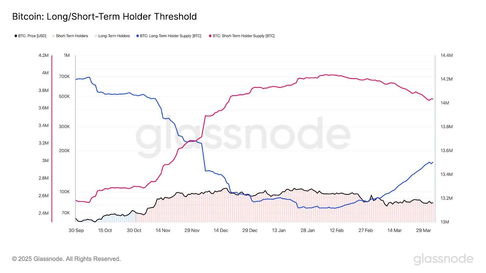 Bitcoin Holdings Data
