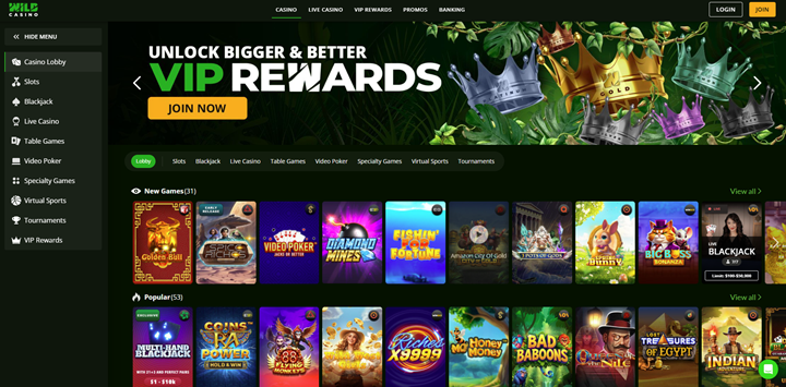 wild casino bonus and games