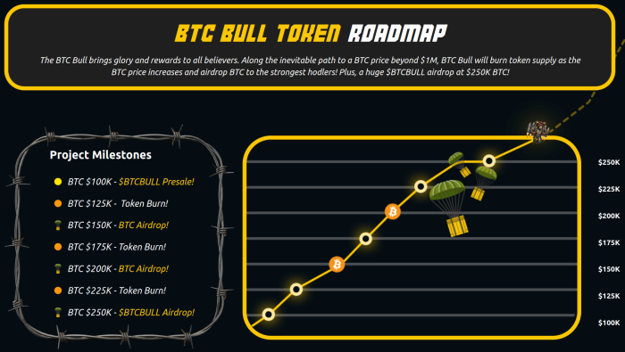 BTC Bull Token roadmap