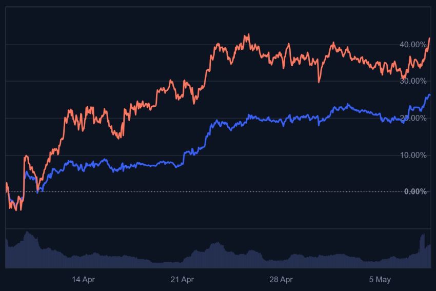 trump crypto
