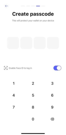 Best Wallet create passcode