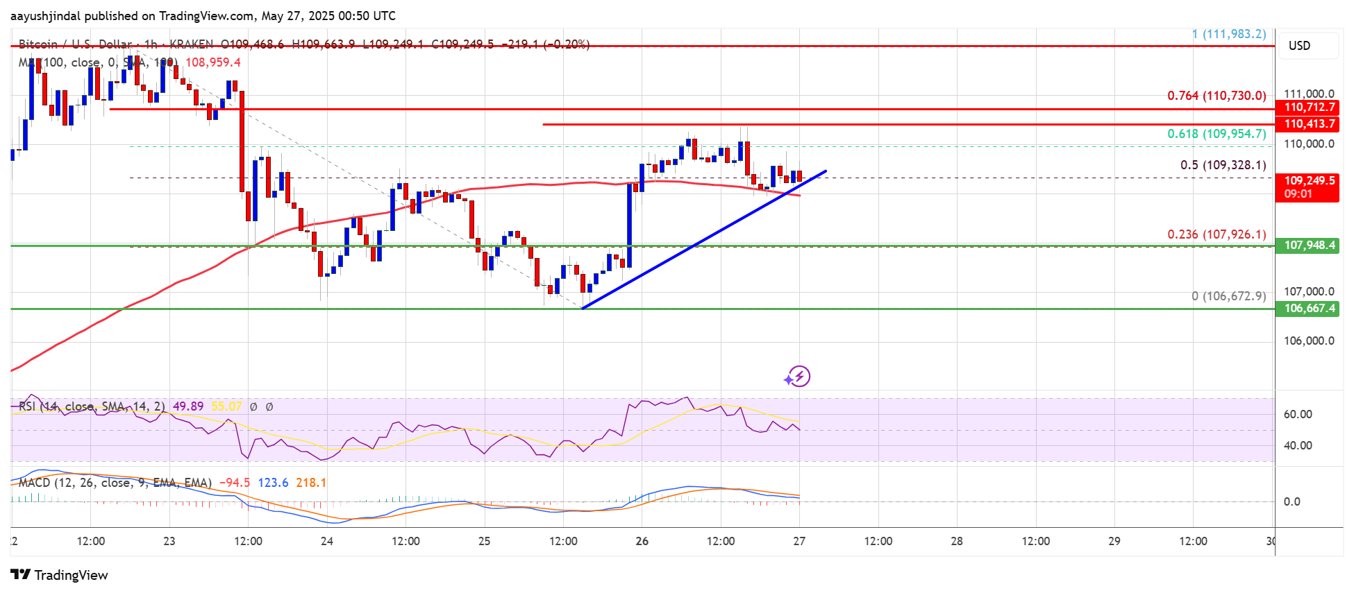 Bitcoin chart showing ups and downs