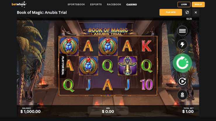 Book of Magic Slots - Anubis Trial at BetWhale