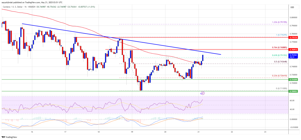 Cardano Price