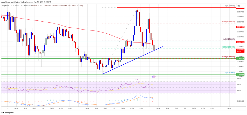 Dogecoin Price 