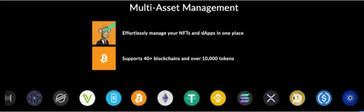 Ellipal Wallet multi-asset management