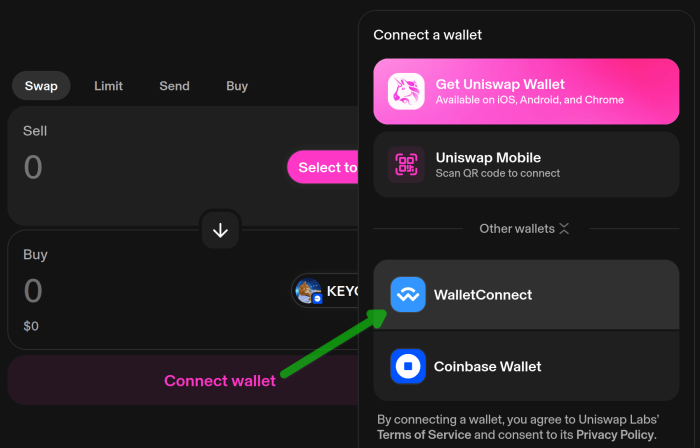 How to connect your wallet to a DEX