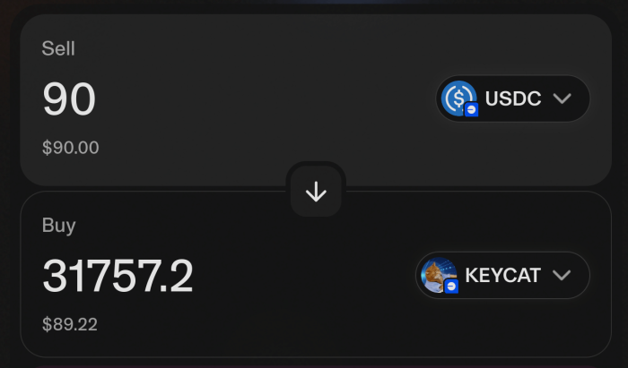 How to set up a USDC⁄KEYCAT swap