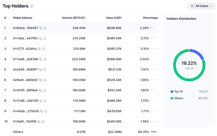 Keyboard Cat’s holders information, as per CoinMarketCap.