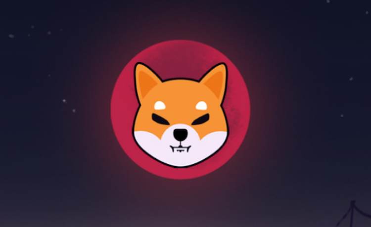 SHIBA INU