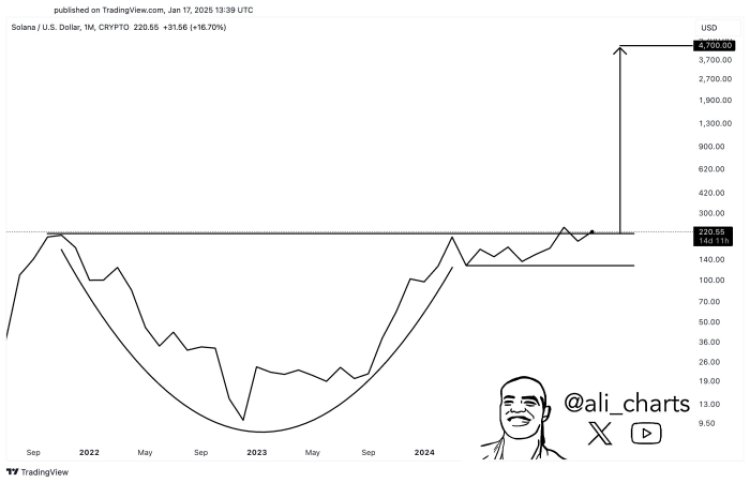 $SOL cup and handle
