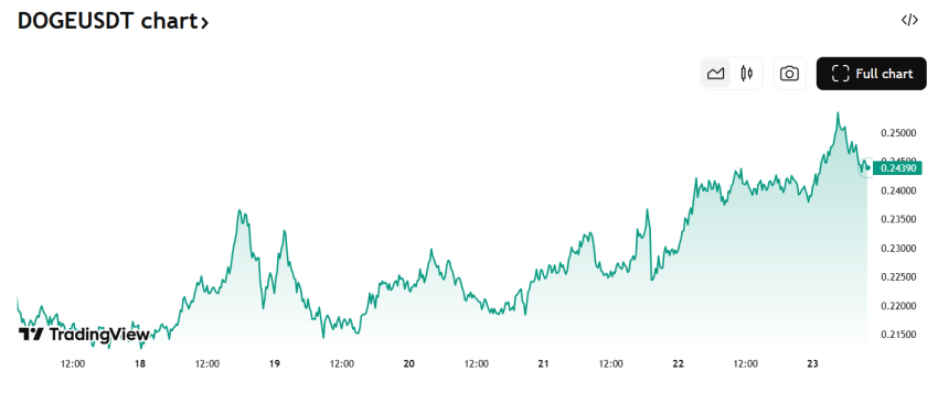 Dogecoin koers/USDT afgelopen week - Bron: TradingView