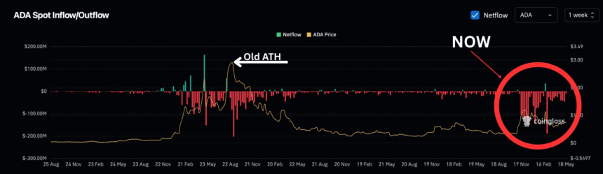 XRP