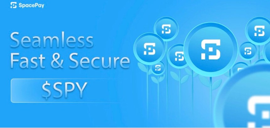 SpacePay vs Traditional Payment Giants