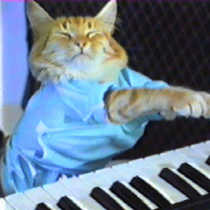 The iconic Keyboard Cat meme