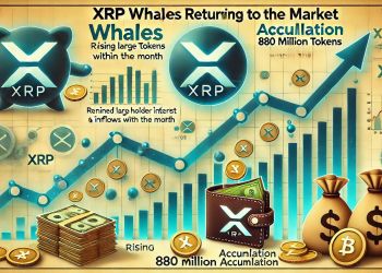 XRP Whales Are Back – 880M Tokens Accumulated This Month
